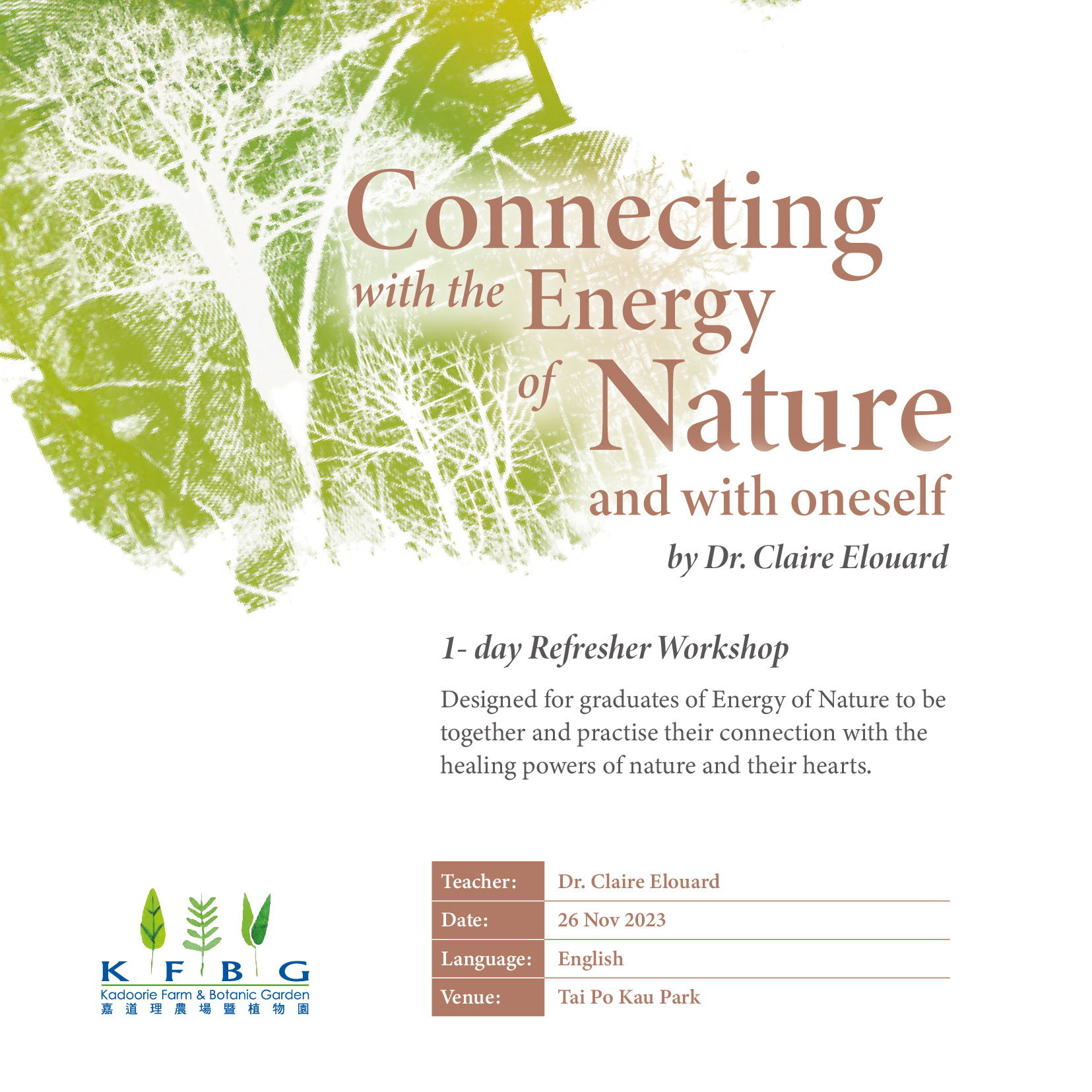 洋書 CONSCIOUSNESS BIOENERGY AND HEALING Awaken Healing Energy Through the Tao: The Taoist Secret of